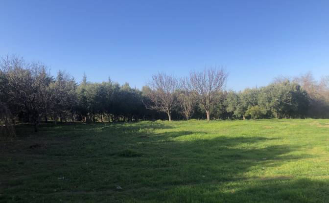 Lote de terreno en venta Kozbeyli Mh. Foto#15
