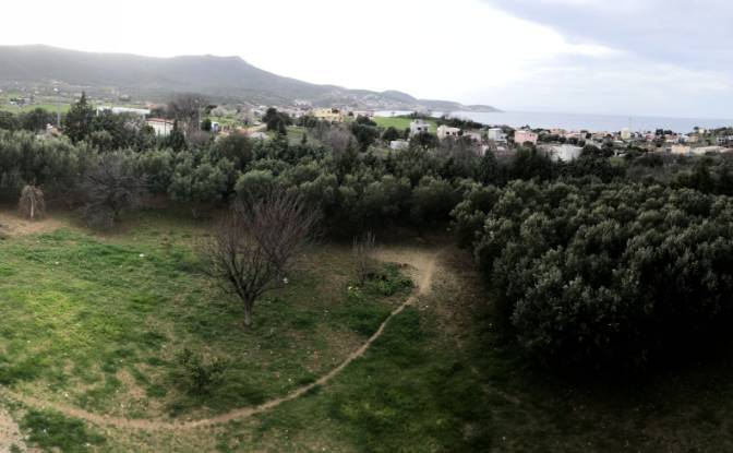 Lote de terreno en venta Kozbeyli Mh. Foto#2