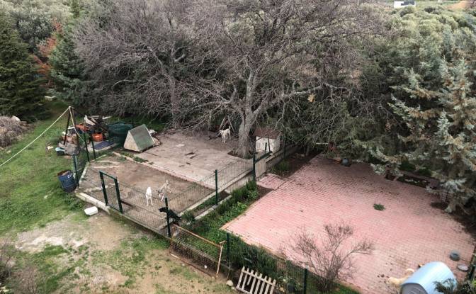 Lote de terreno en venta Kozbeyli Mh. Foto#8