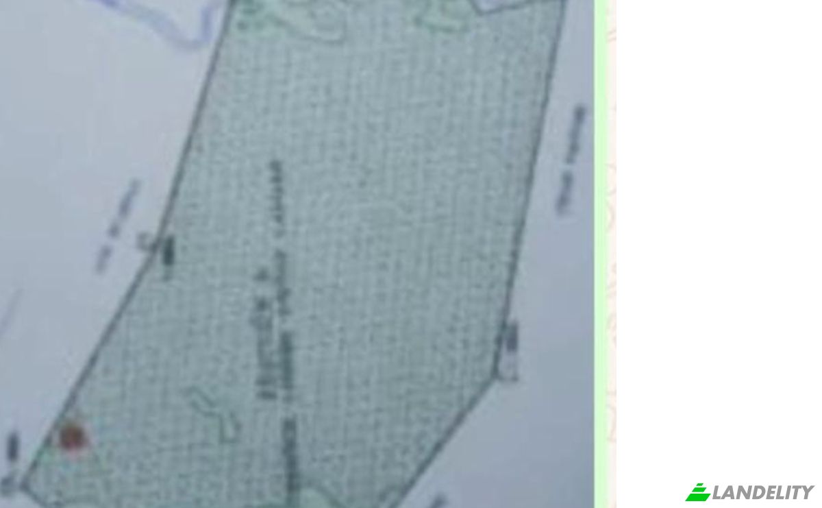 Investing/Development for Sale Via Sin Nombre, YariguaAmi 091305, YariguaAmi, Sapucai, Paraguari Department, Paraguay. Photo 6