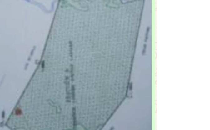 Investing/Development for Sale Via Sin Nombre. Photo#6
