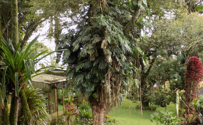 Villa for Sale Fusagasuga, Cundinamarca, Colombia. Photo#13
