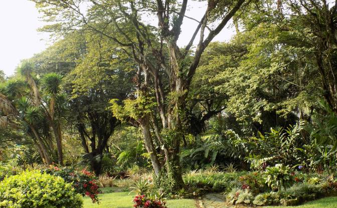 Villa for Sale Fusagasuga, Cundinamarca, Colombia. Photo#14