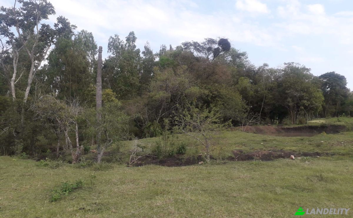 Lote de terreno en venta Vía Sin Nombre, Puerto Paraiso 070604, Puerto Paraiso, Nueva Alborada, Itapúa, Paraguay. Foto 5