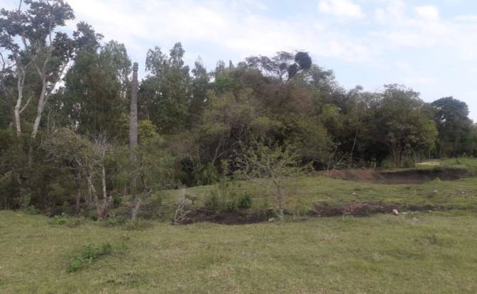 Lote de terreno en venta Vía Sin Nombre. Foto#5