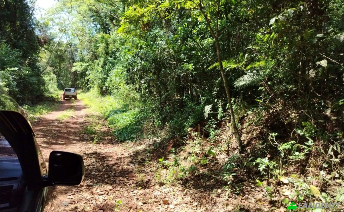 Lote de terreno en venta Vía Sin Nombre, Puerto Paraiso 070604, Puerto Paraiso, Nueva Alborada, Itapúa, Paraguay. Foto 3