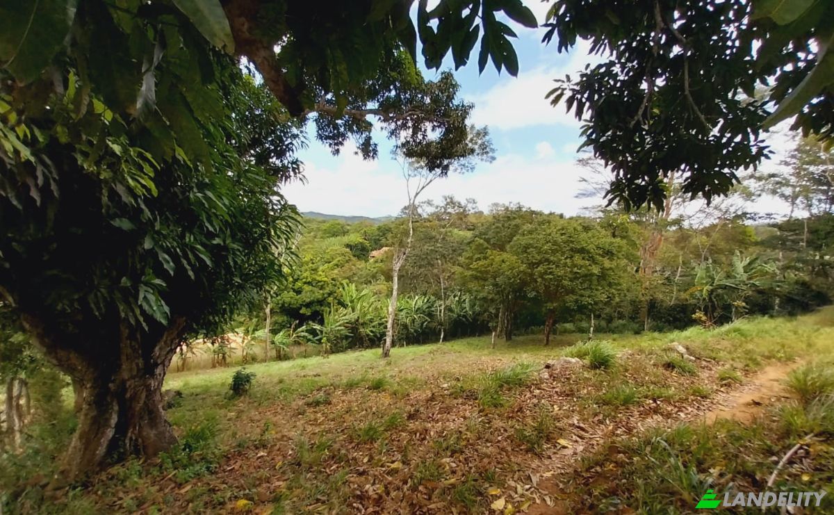 Land Lot for Sale Sitio Couros, Mulungu, Ceara, Brazil, 62764-000. Photo 2