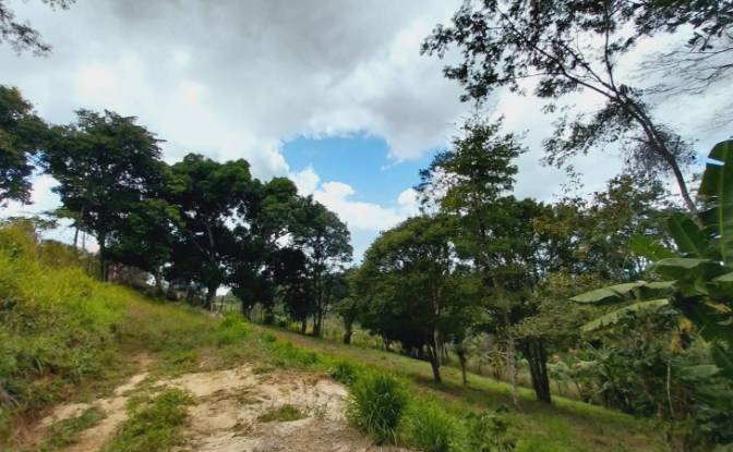 Land Lot for Sale Sitio Couros, Mulungu, Ceara. Photo#3 Land Lot for Sale Sitio Couros, Mulungu, Ceara. Photo#3