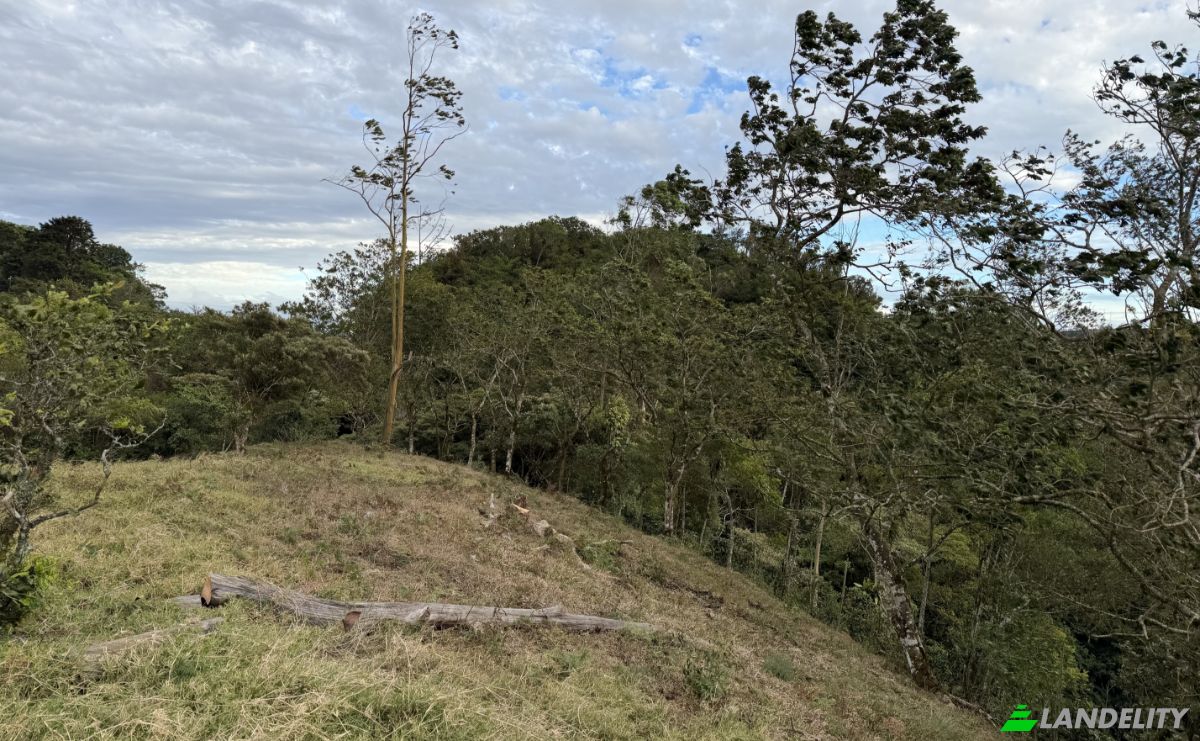 Grondperceel Te koop Alajuela Province, San Ramon, Costa Rica. Foto 10