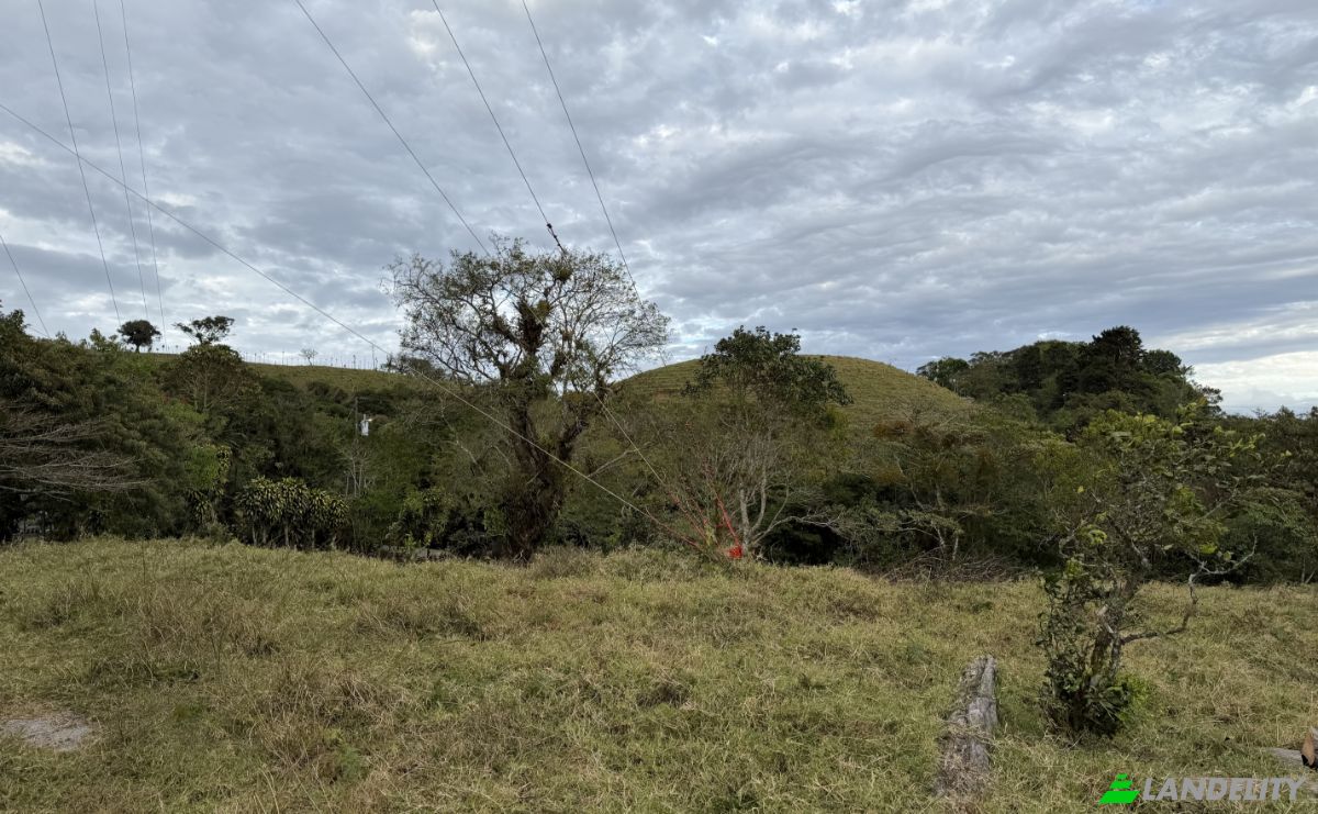 Grondperceel Te koop Alajuela Province, San Ramon, Costa Rica. Foto 9