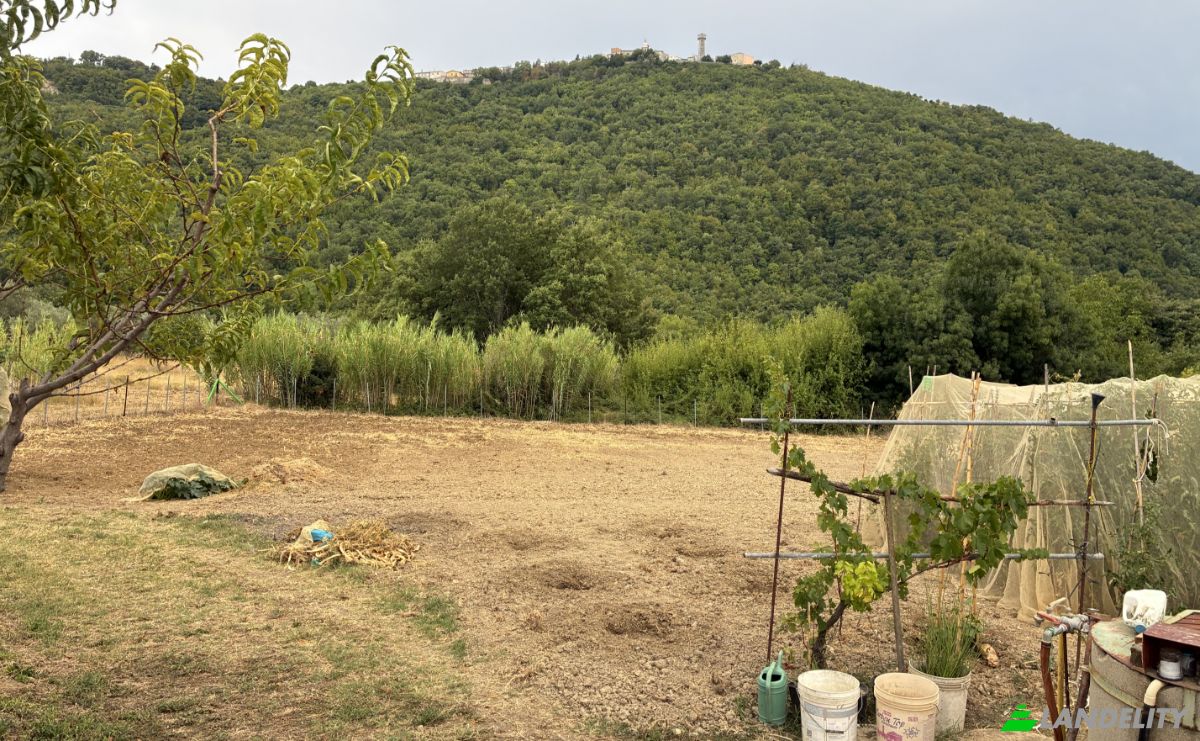 Ferme/Ranch à vendre Contrada Piane, 66050 Guilmi CH, Guilmi, Province of Chieti, Abruzzo, Italy. Photo 7