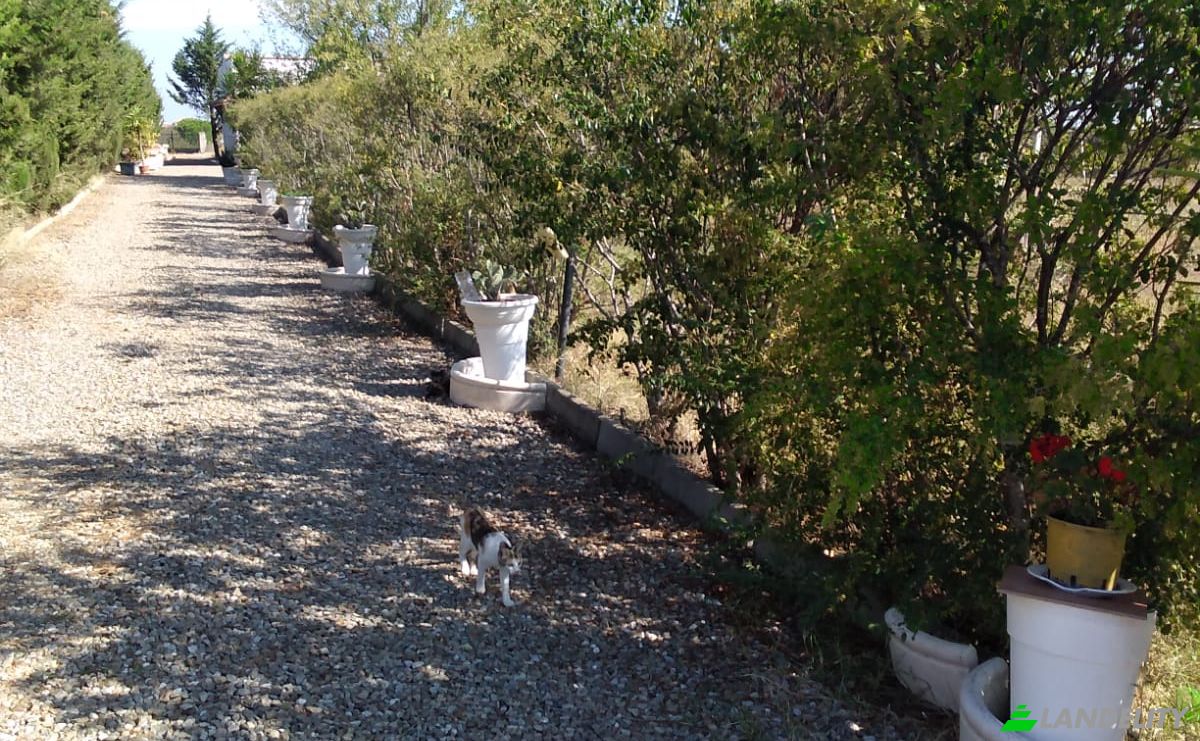 Single Family Home for Sale Contrada Rullo, 75015 Pisticci MT, Pisticci, Province of Matera, Basilicata, Italy. Photo 4