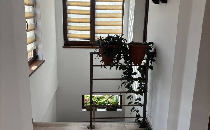 Villa for Sale Put Bez Ime, 8650 Malomir, Malomir. Photo#18 Villa for Sale Put Bez Ime, 8650 Malomir, Malomir. Photo#18