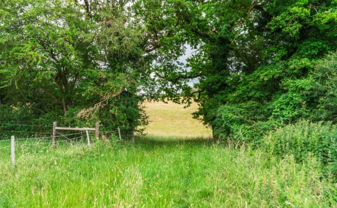 Lot de terrain à vendre Keston BR2 6AR, Keston. Photo#14