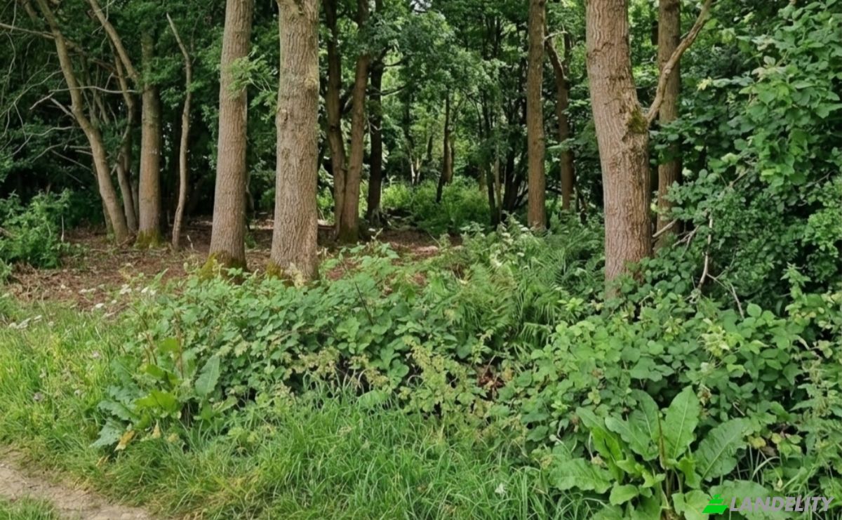 Land Lot for Sale Layhams Rd, Keston BR2 6AR, Keston, Greater London, England, United Kingdom. Photo 5