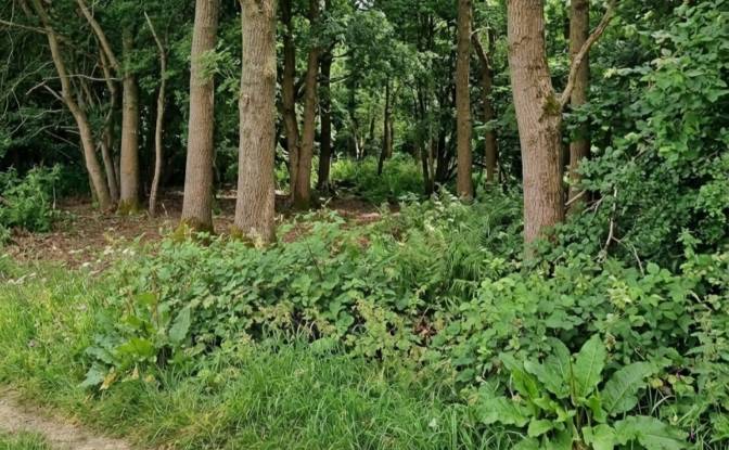 Land Lot for Sale Layhams Rd, Keston BR2 6AR. Photo#5 Land Lot for Sale Layhams Rd, Keston BR2 6AR. Photo#5