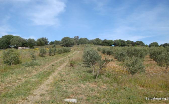 Farm/Ranch for Sale Strada Senza Nome. Photo#13 Farm/Ranch for Sale Strada Senza Nome. Photo#13