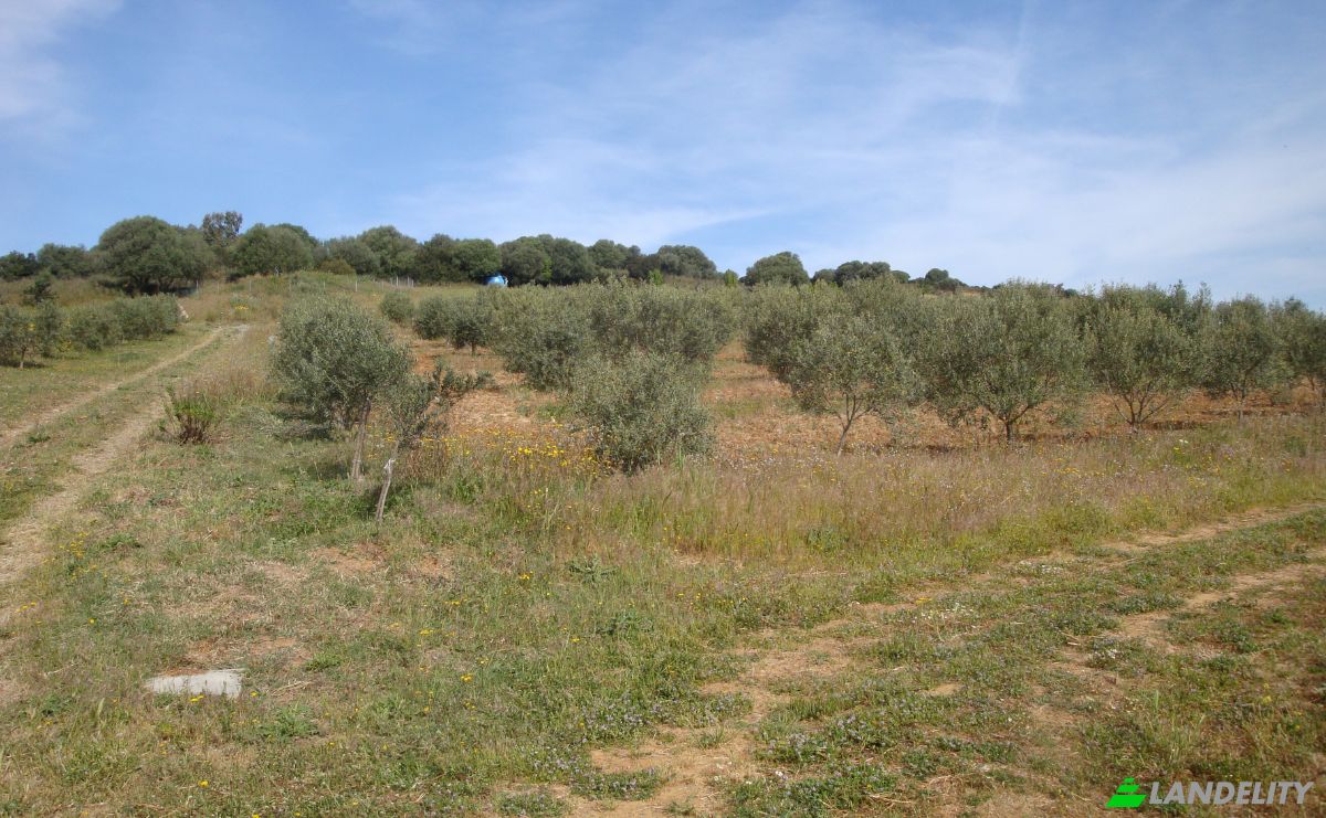 Farm/Ranch for Sale Strada Senza Nome, 09040 Donori CA, Villasalto, Metropolitan City of Cagliari, Sardinia, Italy. Photo 14