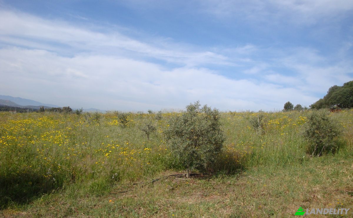 Farm/Ranch for Sale Strada Senza Nome, 09040 Donori CA, Villasalto, Metropolitan City of Cagliari, Sardinia, Italy. Photo 15