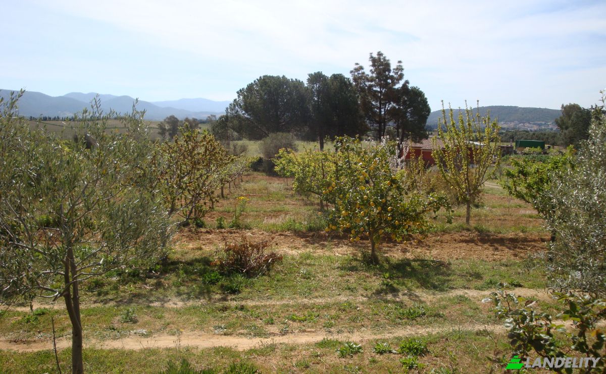 Farm/Ranch for Sale Strada Senza Nome, 09040 Donori CA, Villasalto, Metropolitan City of Cagliari, Sardinia, Italy. Photo 16