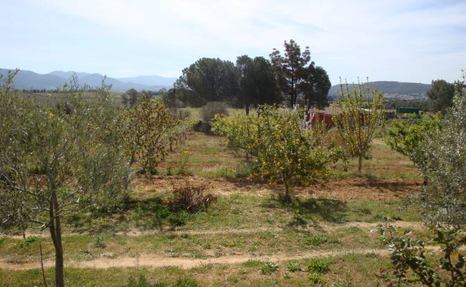 Farm/Ranch for Sale Strada Senza Nome. Photo#16 Farm/Ranch for Sale Strada Senza Nome. Photo#16