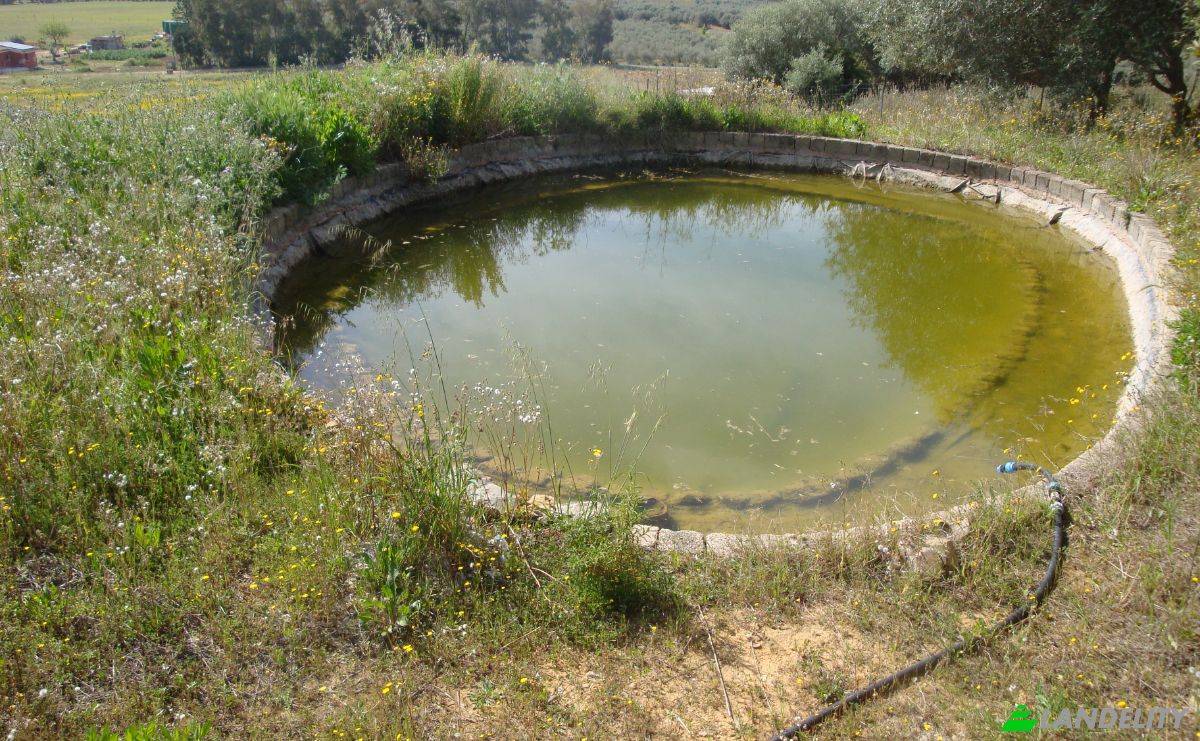Farm/Ranch for Sale Strada Senza Nome, 09040 Donori CA, Villasalto, Metropolitan City of Cagliari, Sardinia, Italy. Photo 17