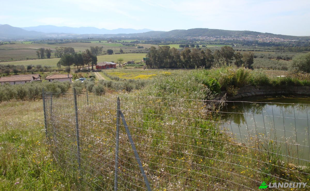 Farm/Ranch for Sale Strada Senza Nome, 09040 Donori CA, Villasalto, Metropolitan City of Cagliari, Sardinia, Italy. Photo 18
