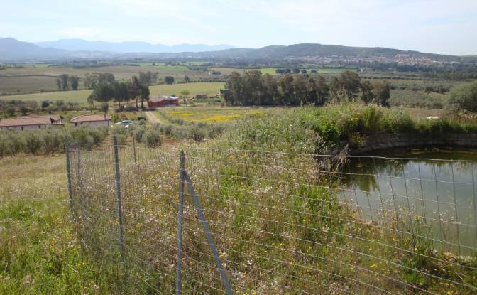 Farm/Ranch for Sale Strada Senza Nome. Photo#18 Farm/Ranch for Sale Strada Senza Nome. Photo#18