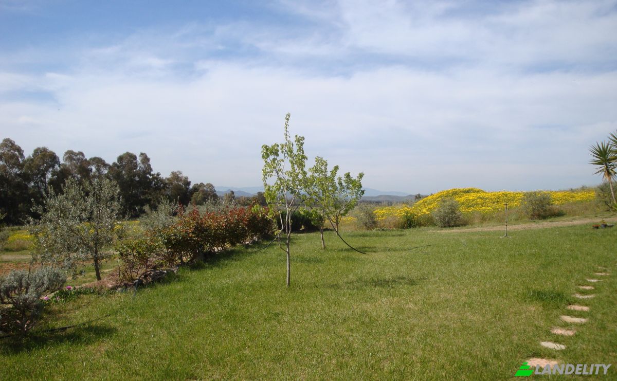 Farm/Ranch for Sale Strada Senza Nome, 09040 Donori CA, Villasalto, Metropolitan City of Cagliari, Sardinia, Italy. Photo 19