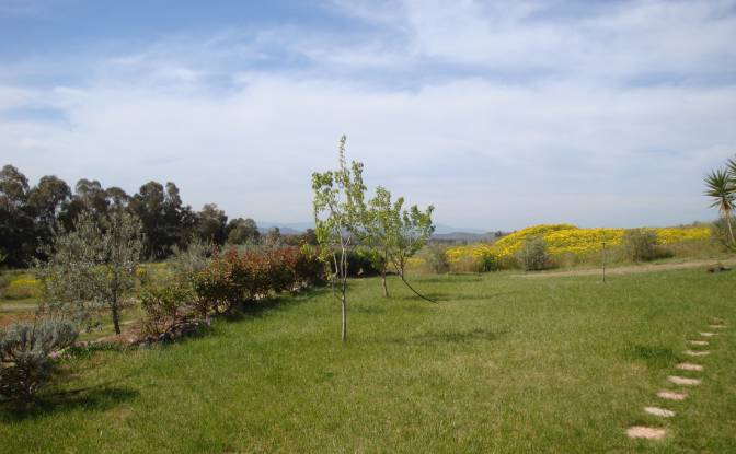 Farm/Ranch for Sale Strada Senza Nome. Photo#19 Farm/Ranch for Sale Strada Senza Nome. Photo#19