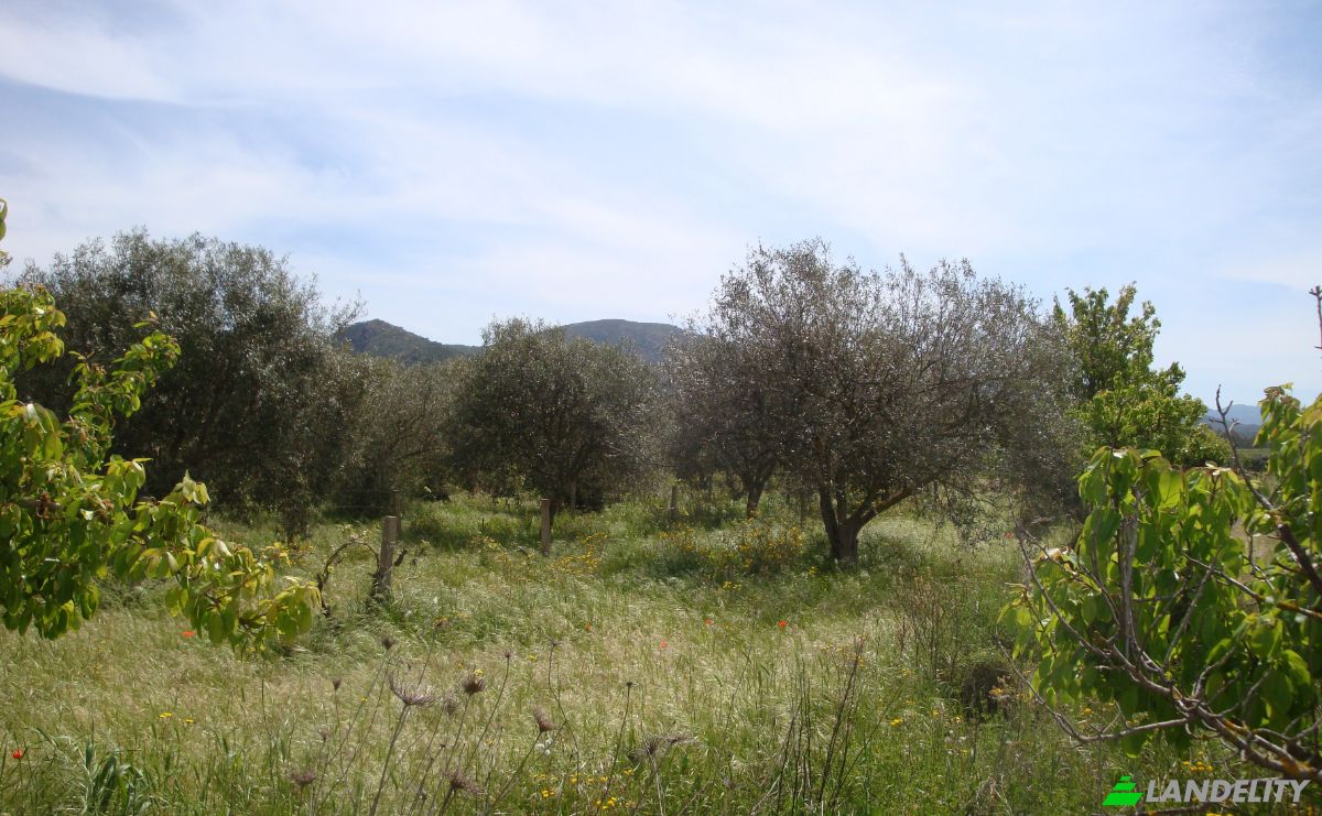 Farm/Ranch for Sale Strada Senza Nome, 09040 Donori CA, Villasalto, Metropolitan City of Cagliari, Sardinia, Italy. Photo 20
