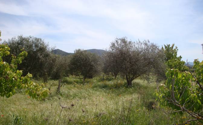 Farm/Ranch for Sale Strada Senza Nome. Photo#20 Farm/Ranch for Sale Strada Senza Nome. Photo#20