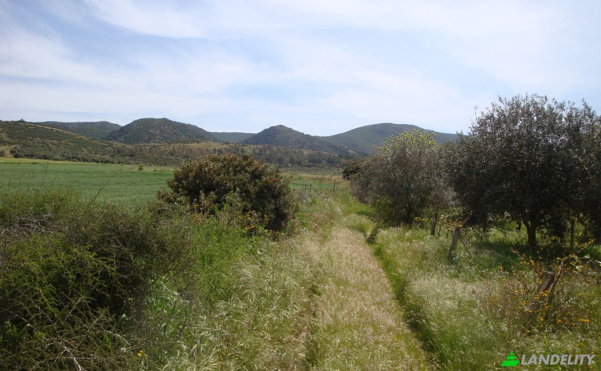 Farm/Ranch for Sale Strada Senza Nome, 09040 Donori CA, Villasalto, Metropolitan City of Cagliari, Sardinia, Italy. Photo 21