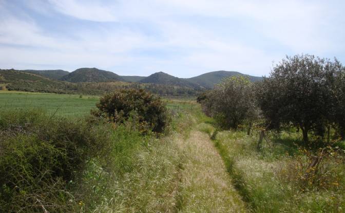 Farm/Ranch for Sale Strada Senza Nome. Photo#21 Farm/Ranch for Sale Strada Senza Nome. Photo#21