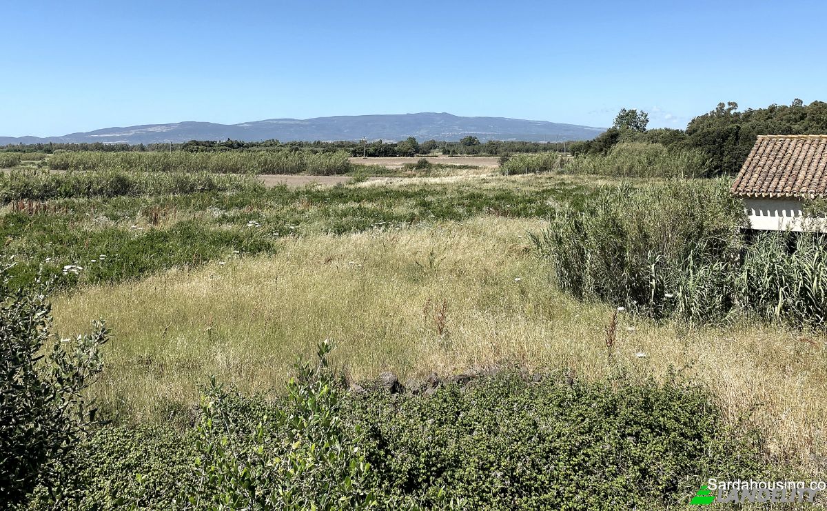 Farm/Ranch for Sale SP9, 09170 Oristano OR, Oristano, Province of Oristano, Sardinia, Italy. Photo 16