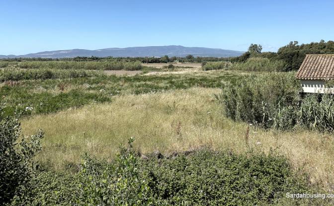 Farm/Ranch for Sale SP9, 09170 Oristano OR. Photo#16 Farm/Ranch for Sale SP9, 09170 Oristano OR. Photo#16
