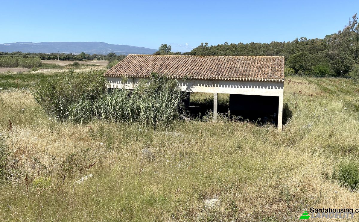 Farm/Ranch for Sale SP9, 09170 Oristano OR, Oristano, Province of Oristano, Sardinia, Italy. Photo 17