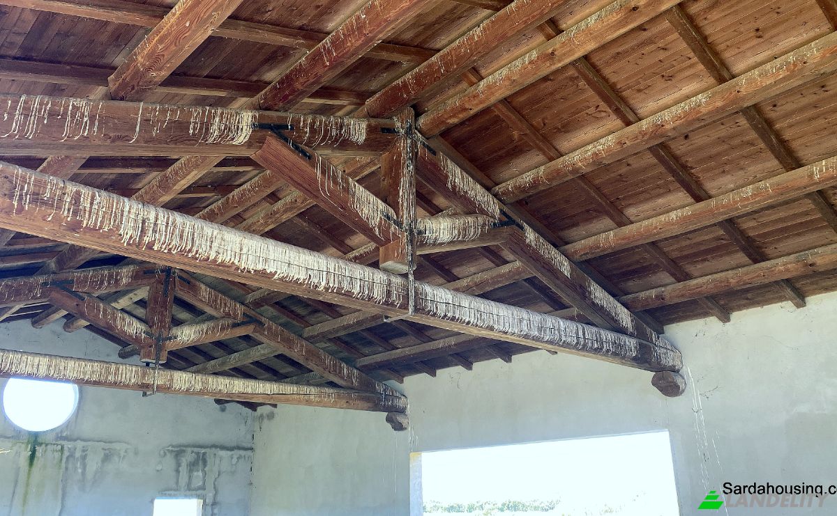 Farm/Ranch for Sale SP9, 09170 Oristano OR, Oristano, Province of Oristano, Sardinia, Italy. Photo 19