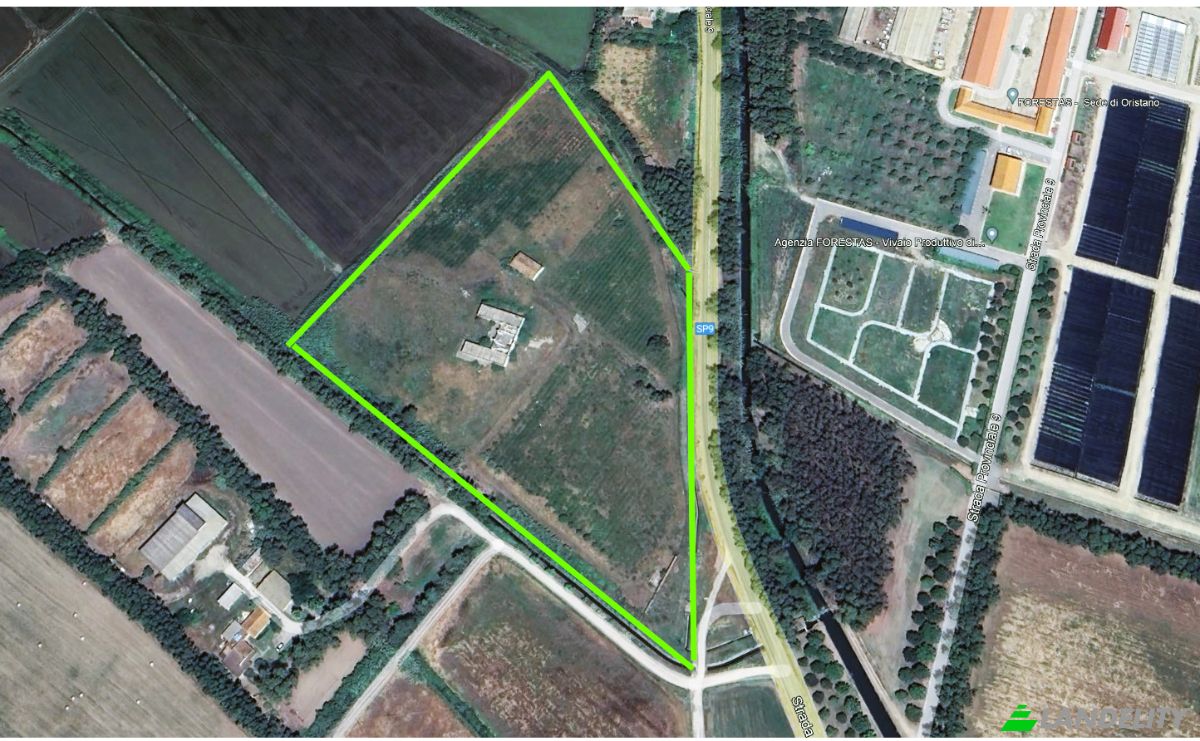 Farm/Ranch for Sale SP9, 09170 Oristano OR, Oristano, Province of Oristano, Sardinia, Italy. Photo 25