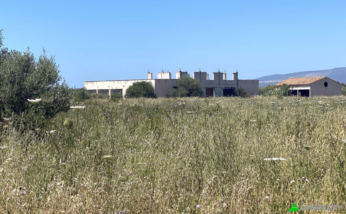 Farm/Ranch for Sale SP9, 09170 Oristano OR, Oristano, Province of Oristano, Sardinia, Italy. Photo 3
