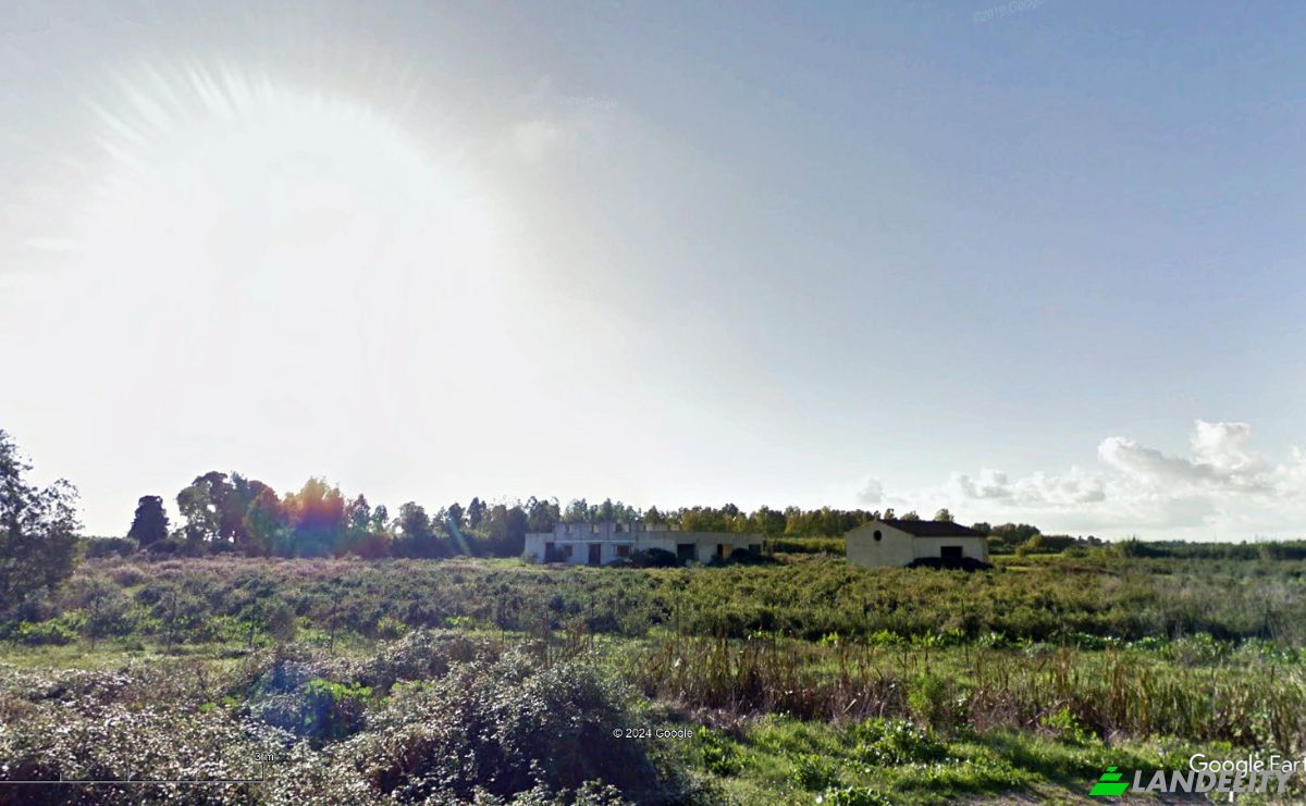 Farm/Ranch for Sale SP9, 09170 Oristano OR, Oristano, Province of Oristano, Sardinia, Italy. Photo 4