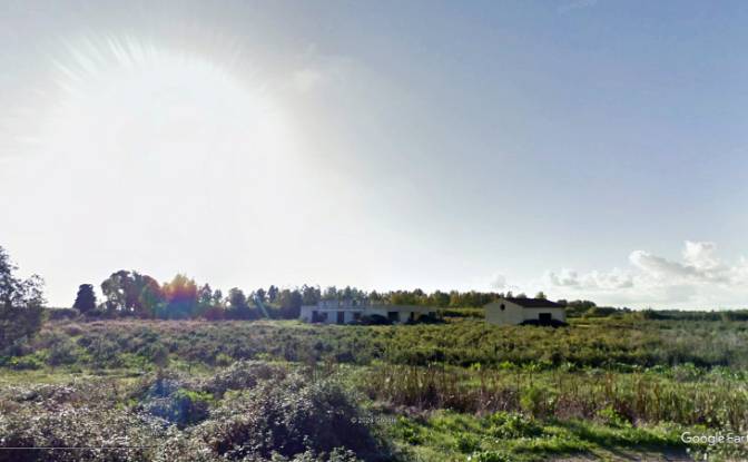 Farm/Ranch for Sale SP9, 09170 Oristano OR. Photo#4 Farm/Ranch for Sale SP9, 09170 Oristano OR. Photo#4