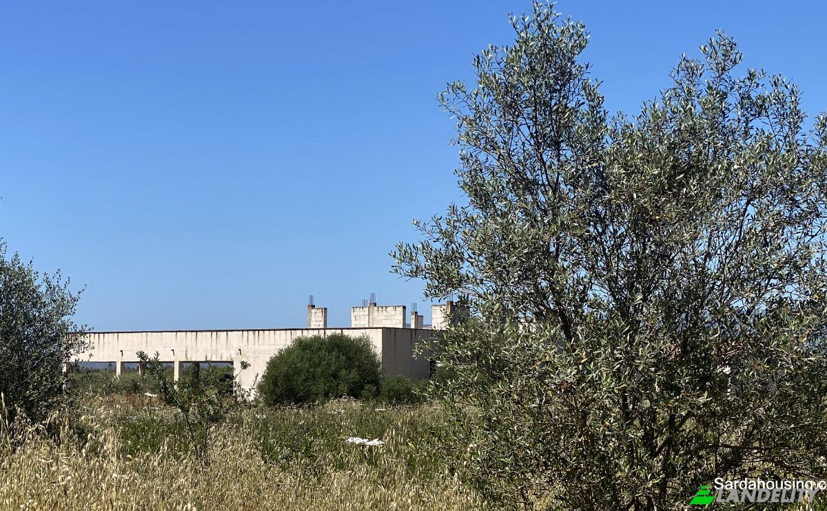 Farm/Ranch for Sale SP9, 09170 Oristano OR, Oristano, Province of Oristano, Sardinia, Italy. Photo 6