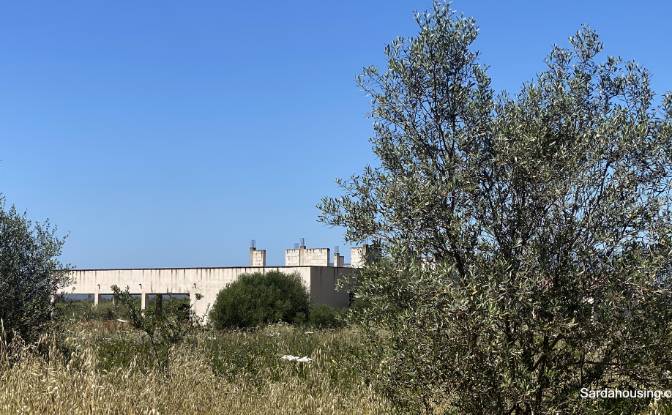 Farm/Ranch for Sale SP9, 09170 Oristano OR. Photo#6 Farm/Ranch for Sale SP9, 09170 Oristano OR. Photo#6