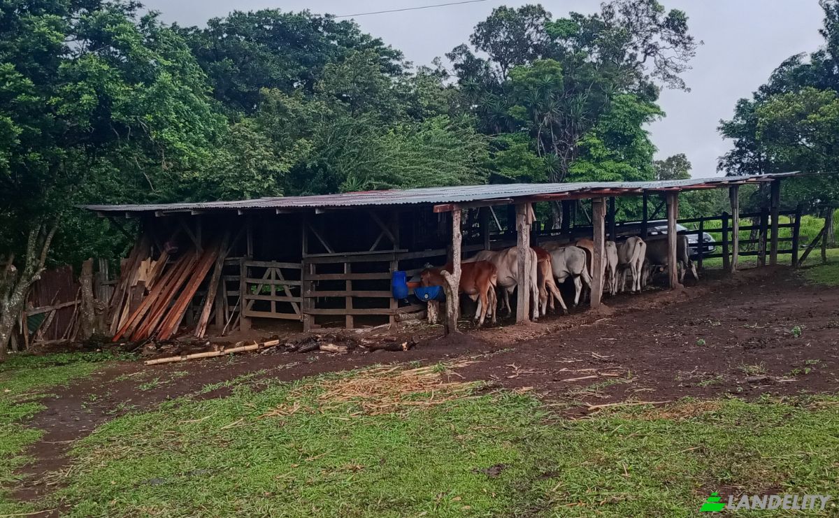 Farm/Ranch for Sale Calle 4, Provincia de Guanacaste, Tierras Morenas, Tilaran, Guanacaste Province, Costa Rica. Photo 2
