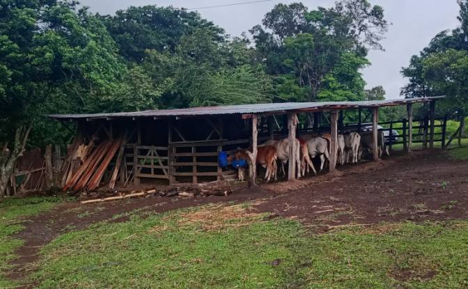 Farm/Ranch for Sale Calle 4. Photo#2 Farm/Ranch for Sale Calle 4. Photo#2