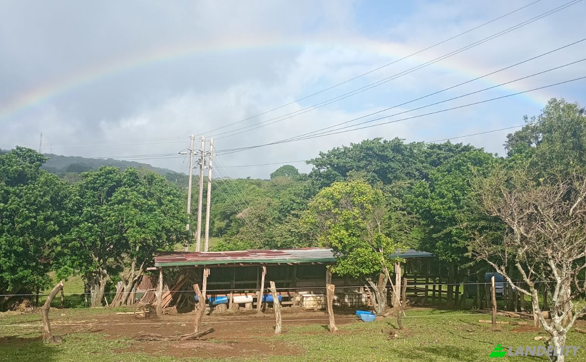 Farm/Ranch for Sale Calle 4, Provincia de Guanacaste, Tierras Morenas, Tilaran, Guanacaste Province, Costa Rica. Photo 4