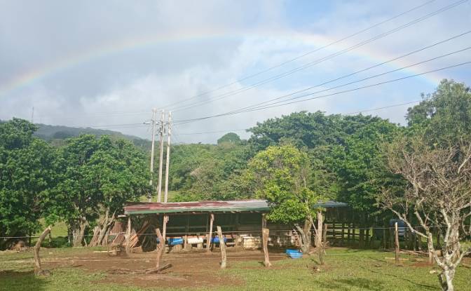 Farm/Ranch for Sale Calle 4. Photo#4 Farm/Ranch for Sale Calle 4. Photo#4
