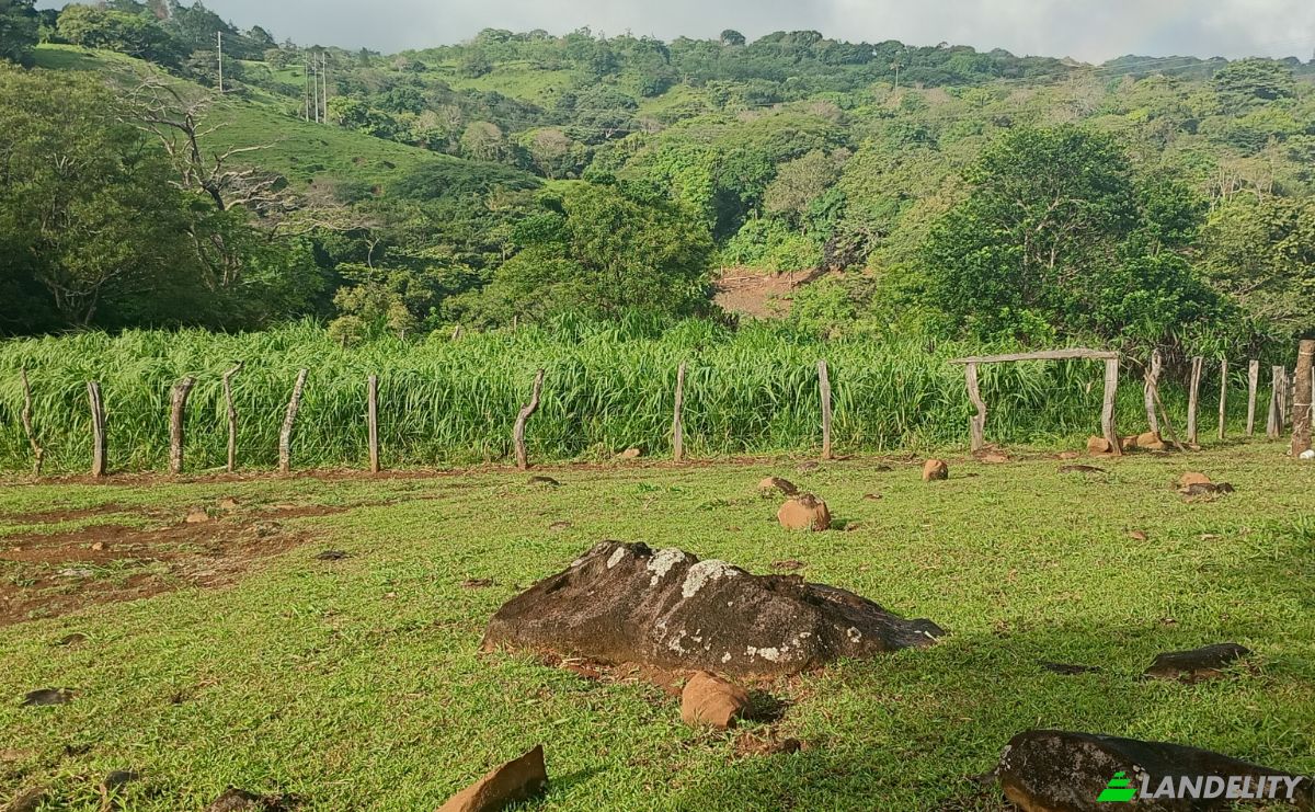 Farm/Ranch for Sale Calle 4, Provincia de Guanacaste, Tierras Morenas, Tilaran, Guanacaste Province, Costa Rica. Photo 5