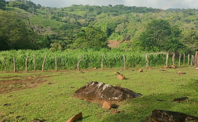 Farm/Ranch for Sale Calle 4. Photo#5 Farm/Ranch for Sale Calle 4. Photo#5